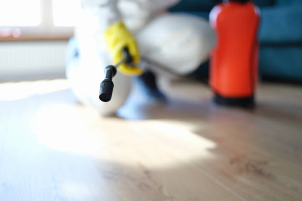 Mold Remediation for Rental Properties in Apollo, PA